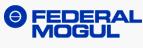 Ź˾Federal-Mogul Corporation)