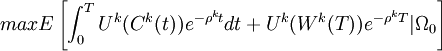 max E \left[ \int_{0}^{T} U^k (C^k (t))e^{- \rho ^{k}t}dt + U^k (W^k(T))e^{-\rho^{k}T} | \Omega_{0}\right]