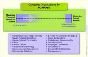 Figure 1Shifting Purpose in the Private Sector